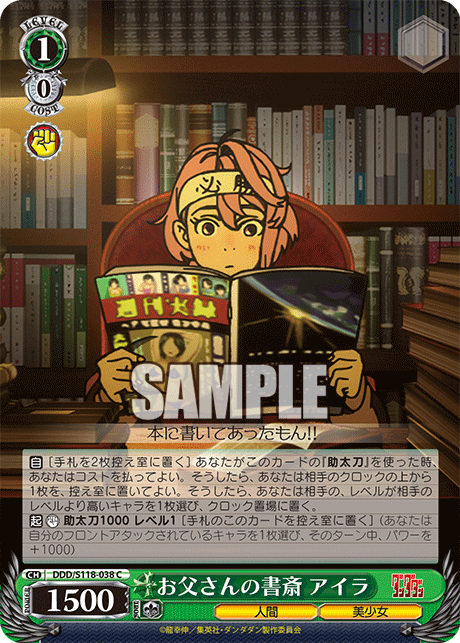 【DDD/S118-038 C】お父さんの書斎 アイラ