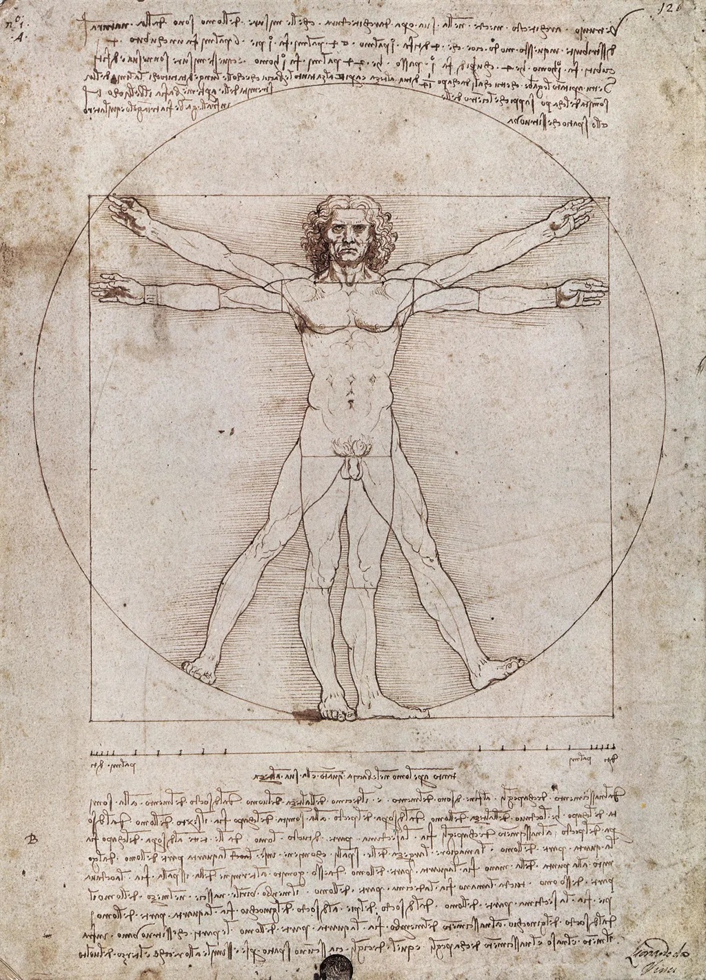 IFI｜海報-維特魯威人