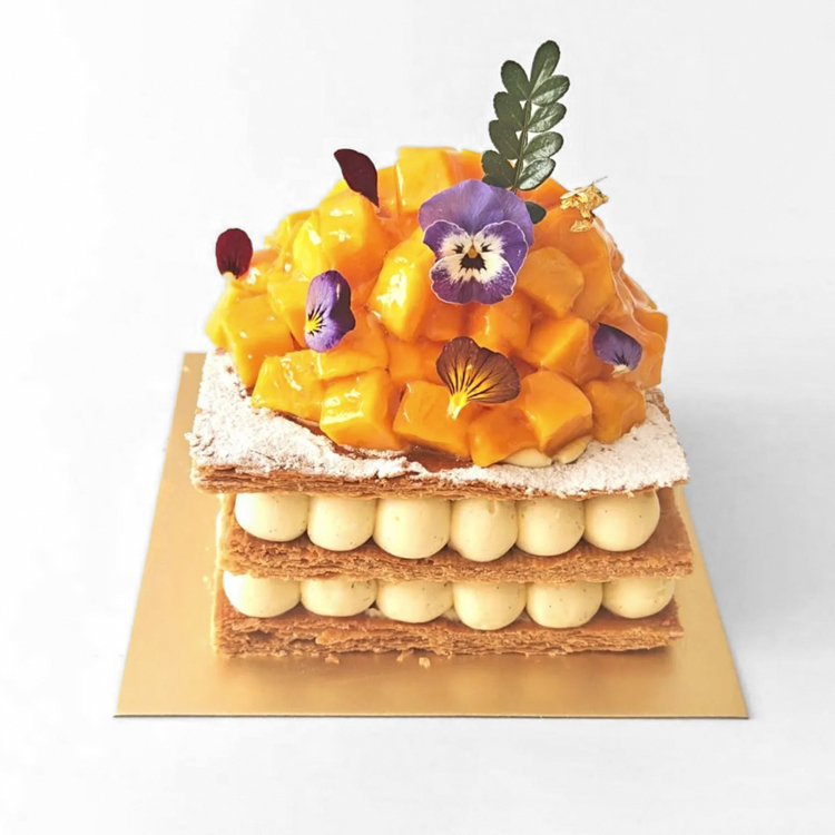 Mango Napoleon PTW037L