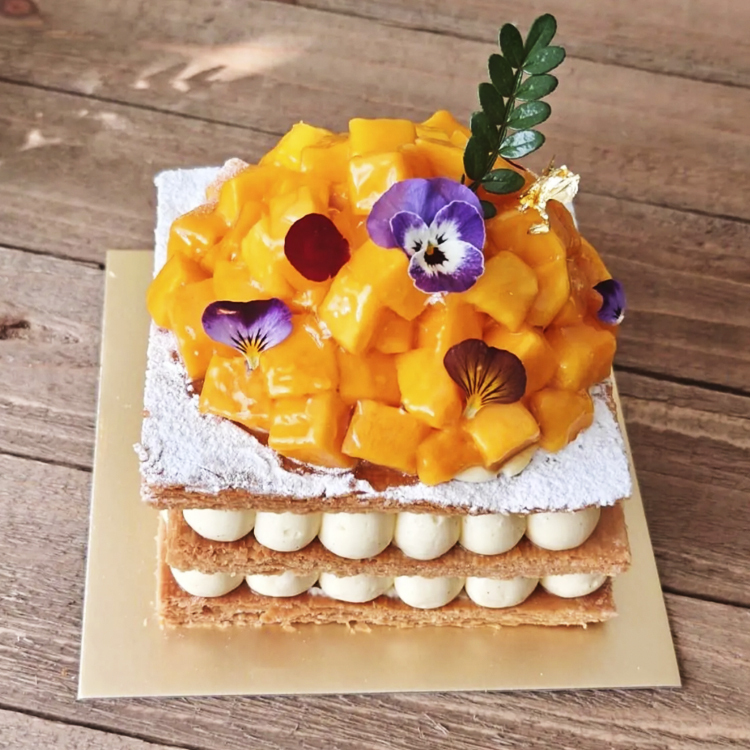 Mango Napoleon PTW037L