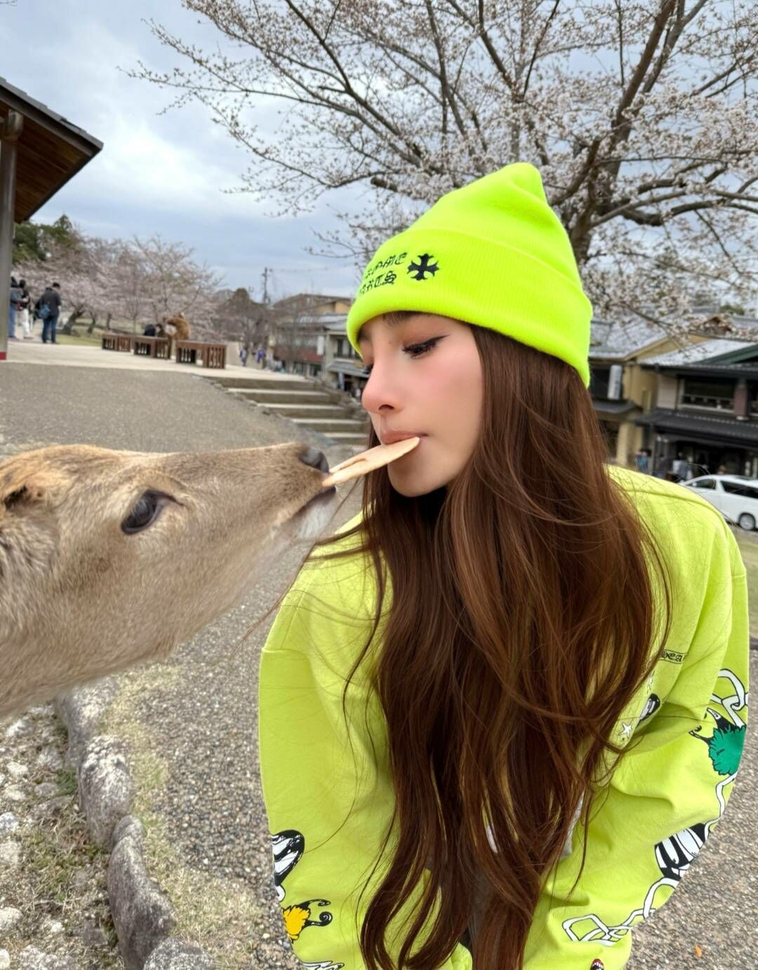 【代購】CHROME HEARTS 克羅心 毛帽 男女同款 綠色