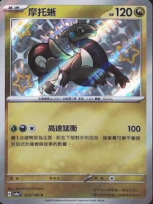 【SV4aF 303/190 S】摩托蜥 S