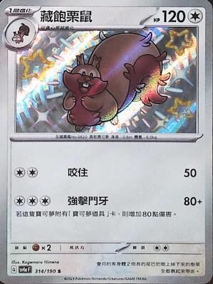 【SV4aF 314/190 S】藏飽栗鼠 S