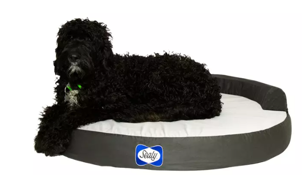 【現貨】Sealy Zen Premium B040501 寵物專用床墊