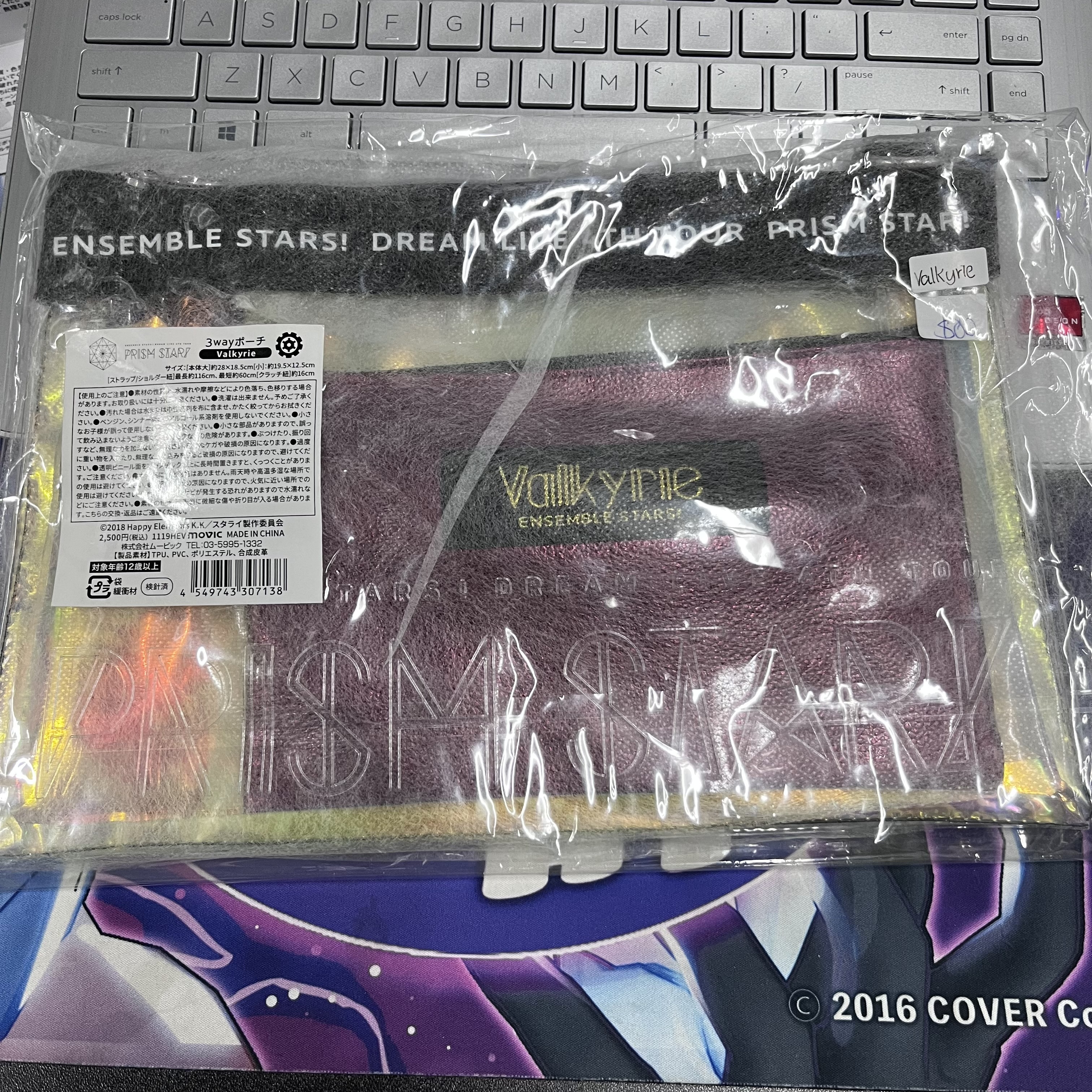 ES  VALKYRIE 收納袋#217