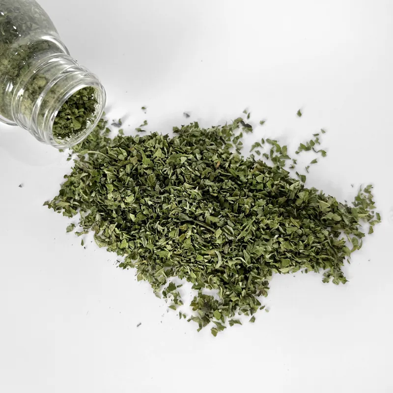 Coconilla｜忘憂神仙草