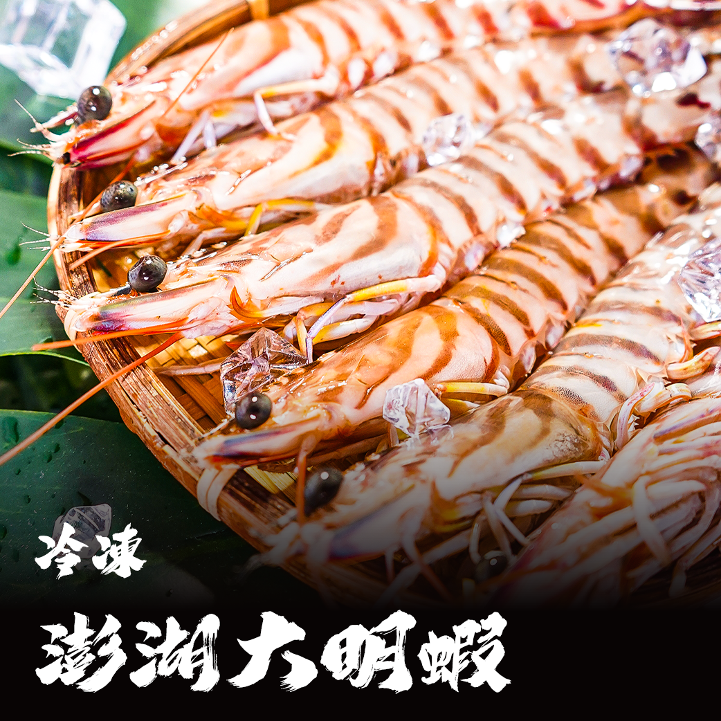 澎湖 活凍野生大明蝦
