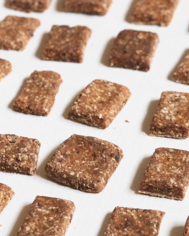 Coconilla｜訓練好夥伴零食40g【雞肉雞肝】