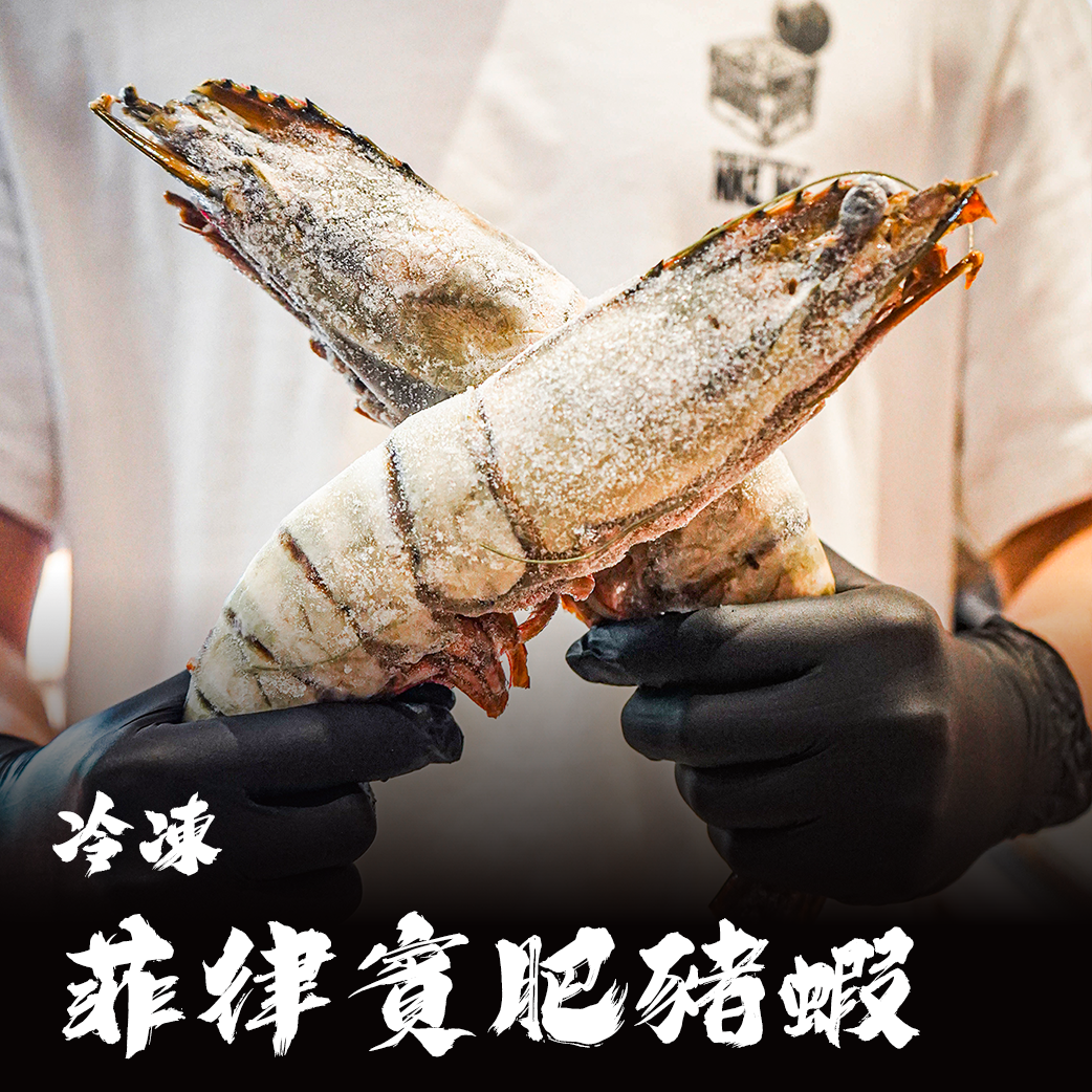 菲律賓 野生肥豬蝦 / 手臂蝦