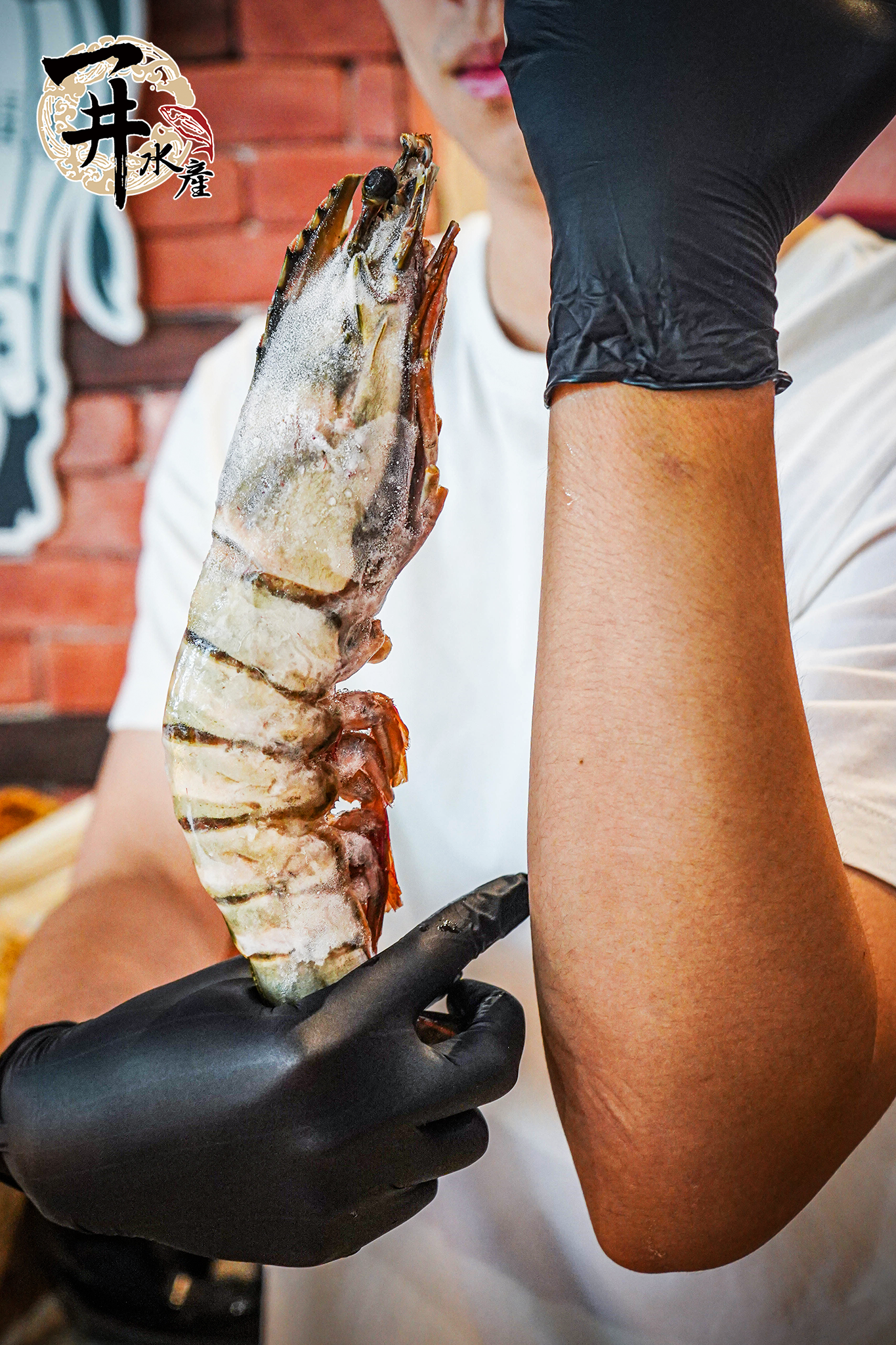 菲律賓 野生肥豬蝦 / 手臂蝦