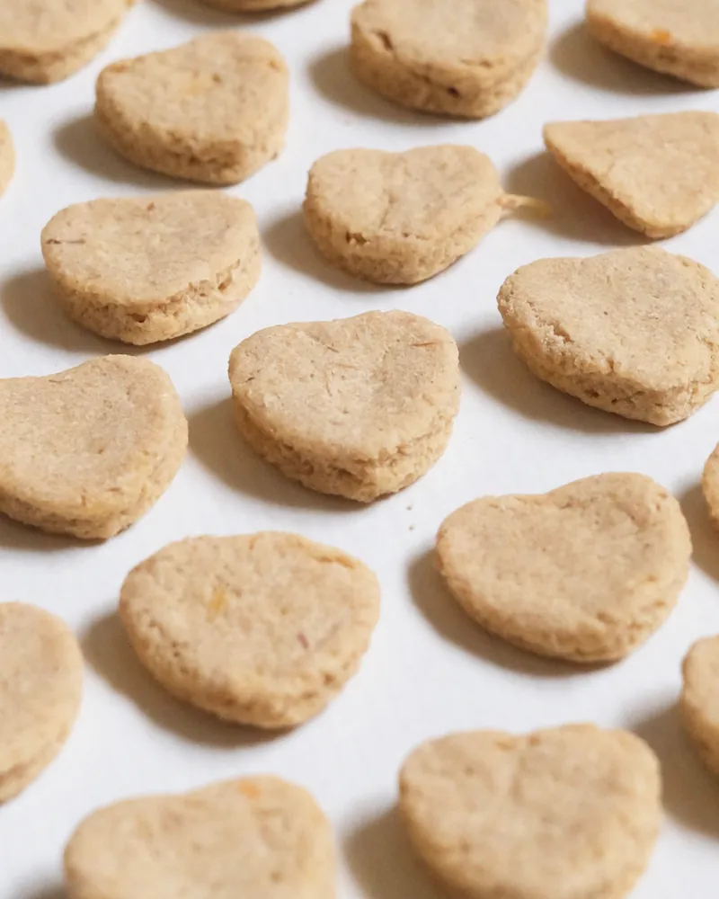 Coconilla｜貓貓好鮭蜜40g【鮭魚干貝】