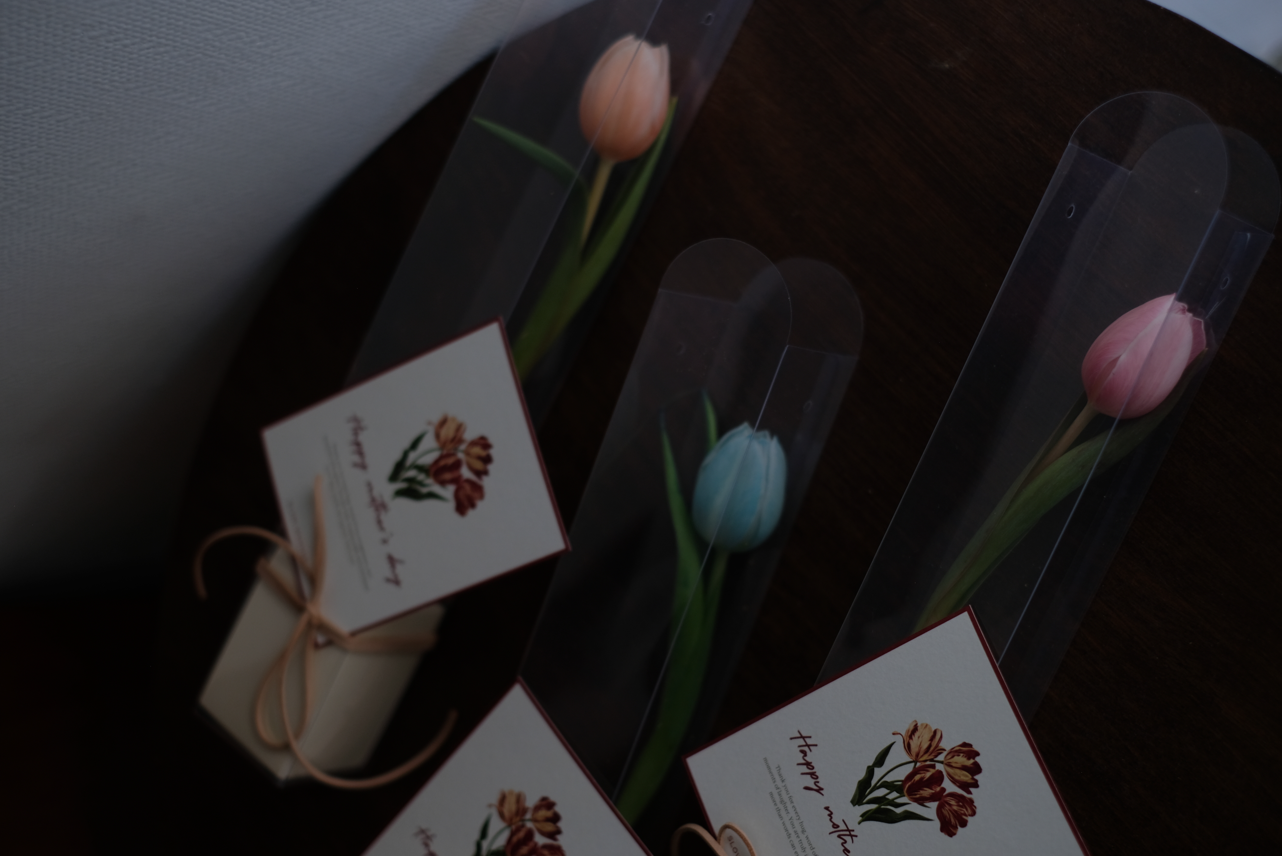 慢式特殊色鬱金香｜單朵花盒