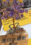 260131 - C42 迷你水晶樹 - 紫水晶