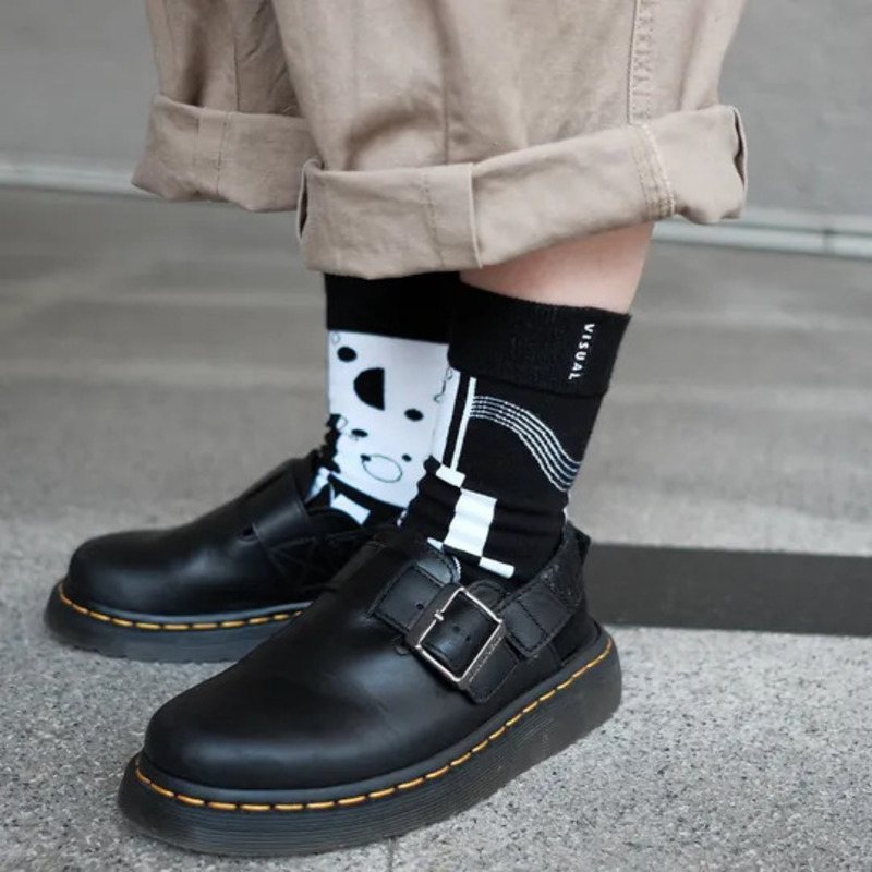 【VISUAL】斑馬斑馬