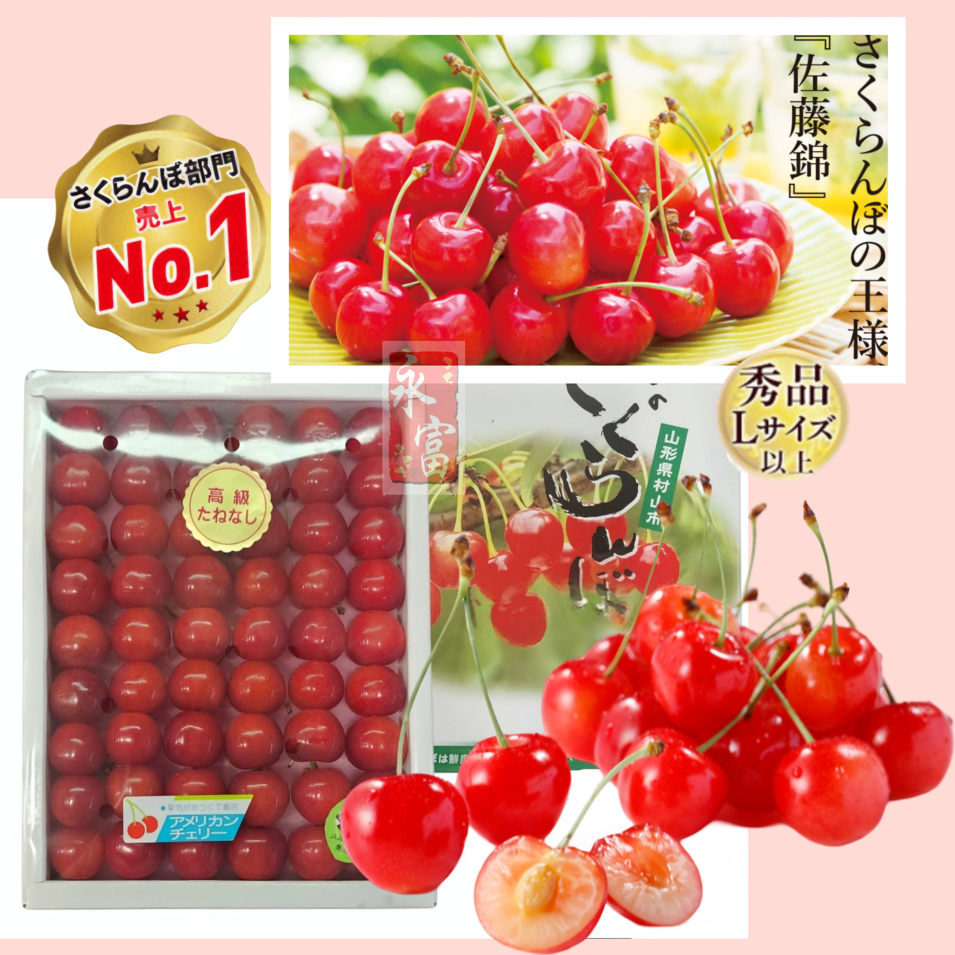 日本山形縣車厘子(佐藤錦)