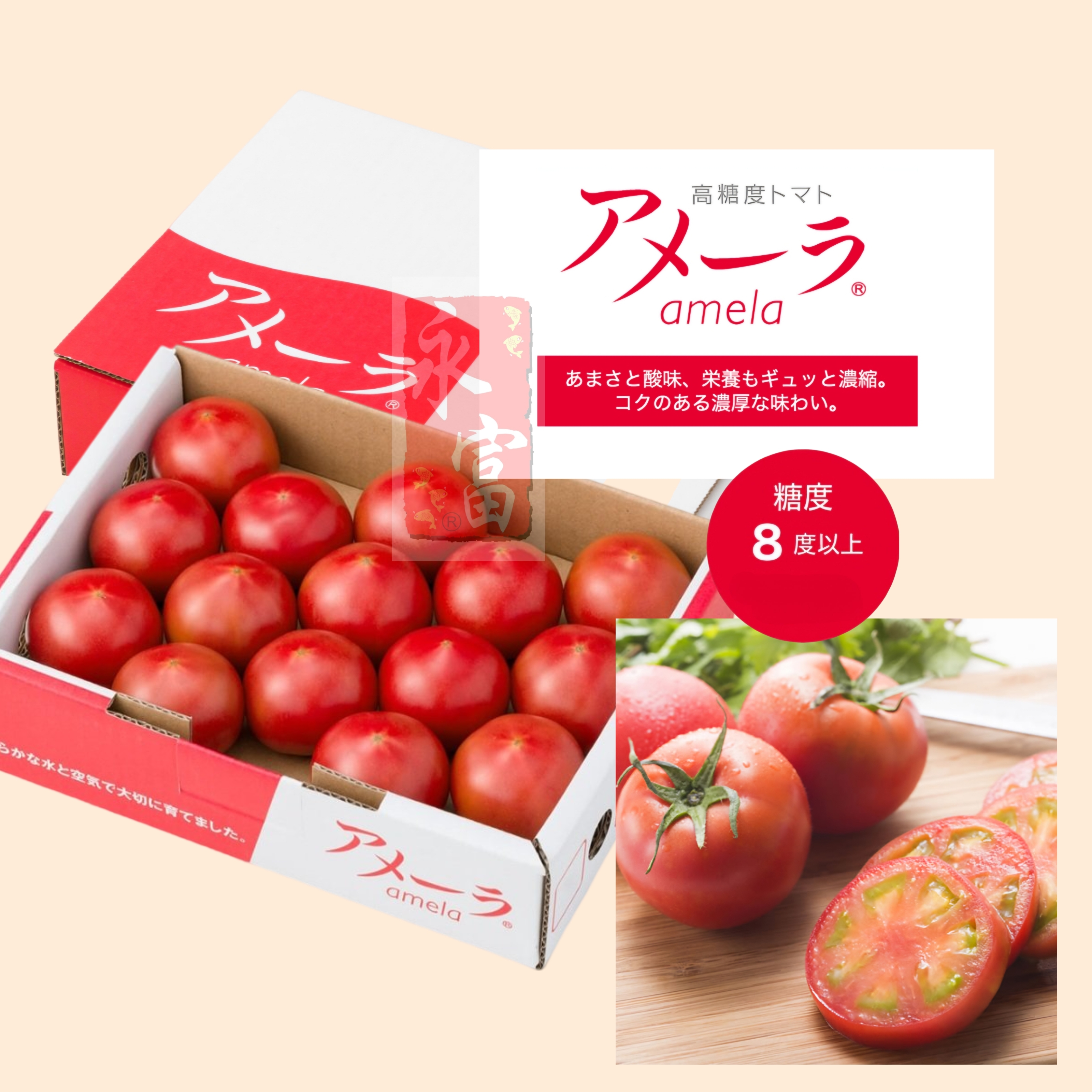 日本靜岡縣生果蕃茄(1KG-12-13個)