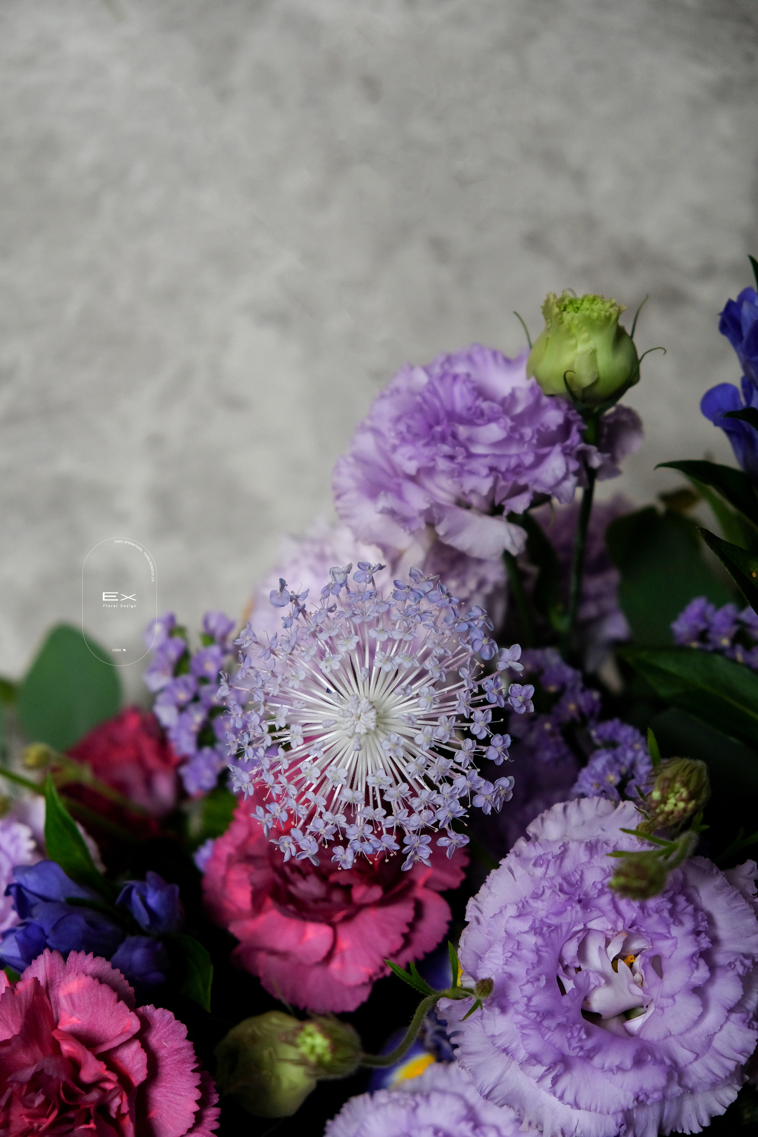 愛麗絲的午後花園