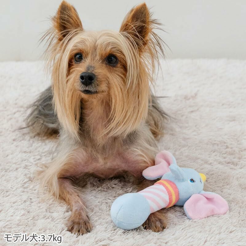 日本直送 Dinsey Dumbo 小飛象鈴鐺狗狗玩具