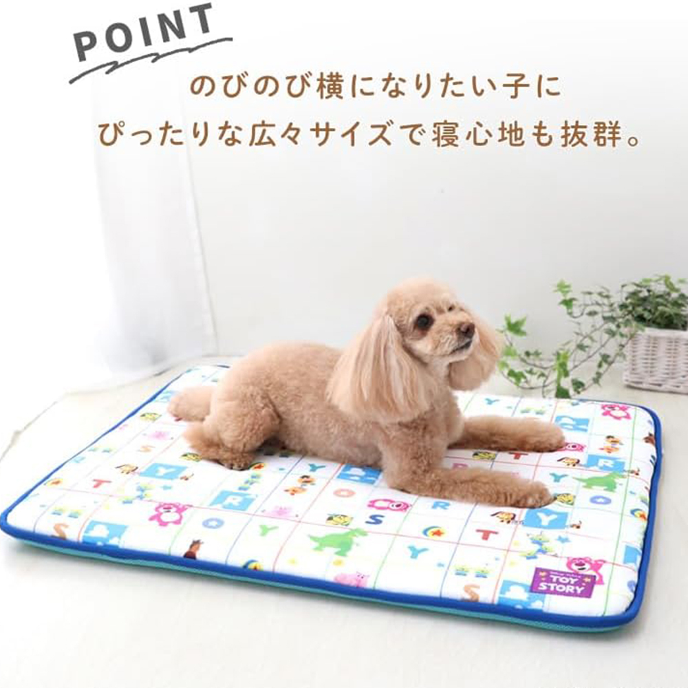 日本直送 Toy Story 系列夏日抗菌防臭冰涼墊