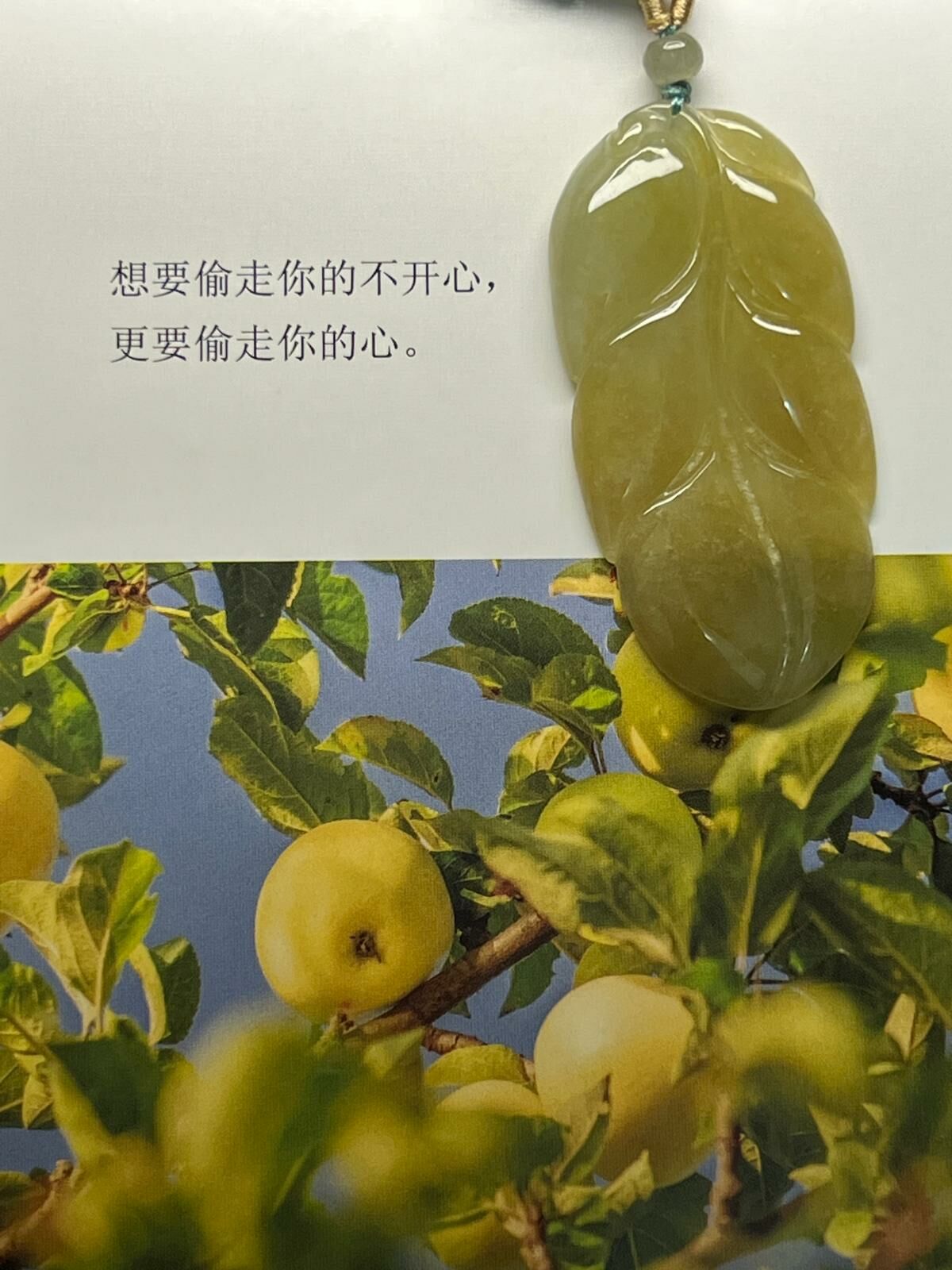 翡翠葉子