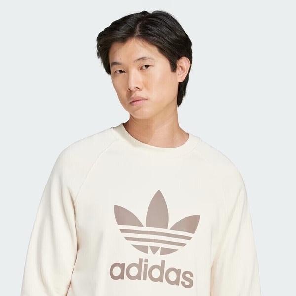 ADIDAS 大學T TREFOIL CREW 米咖色 復古 三葉草 男 JN7007