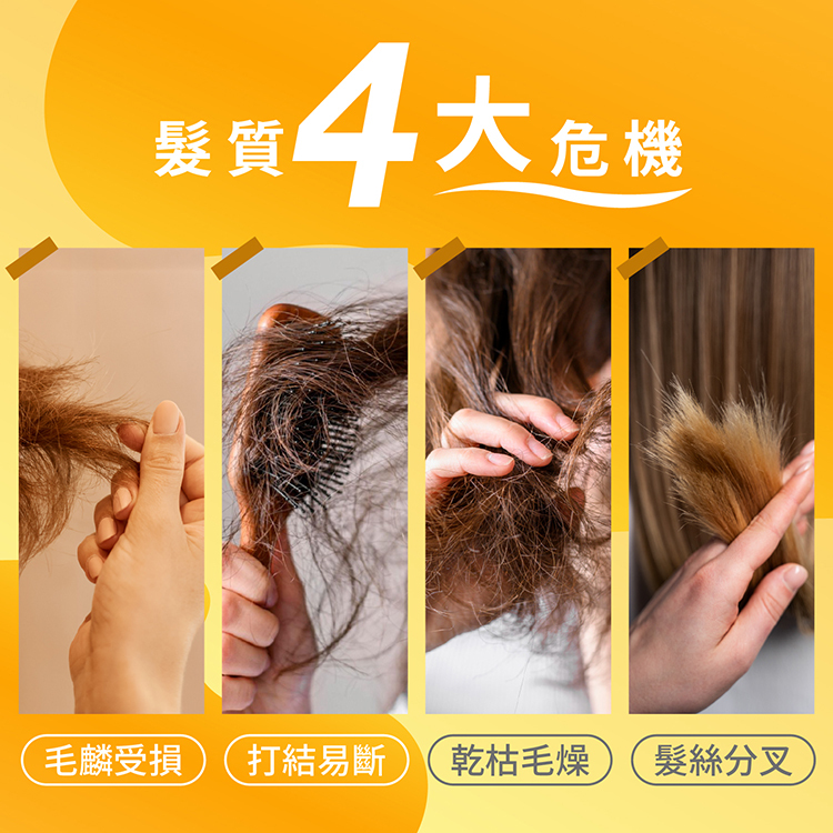 護髮,保養,養髮,修護,居家護髮