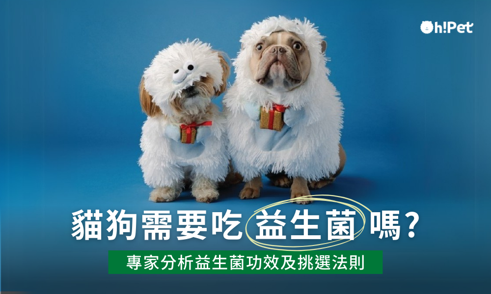 貓狗需要吃益生菌嗎