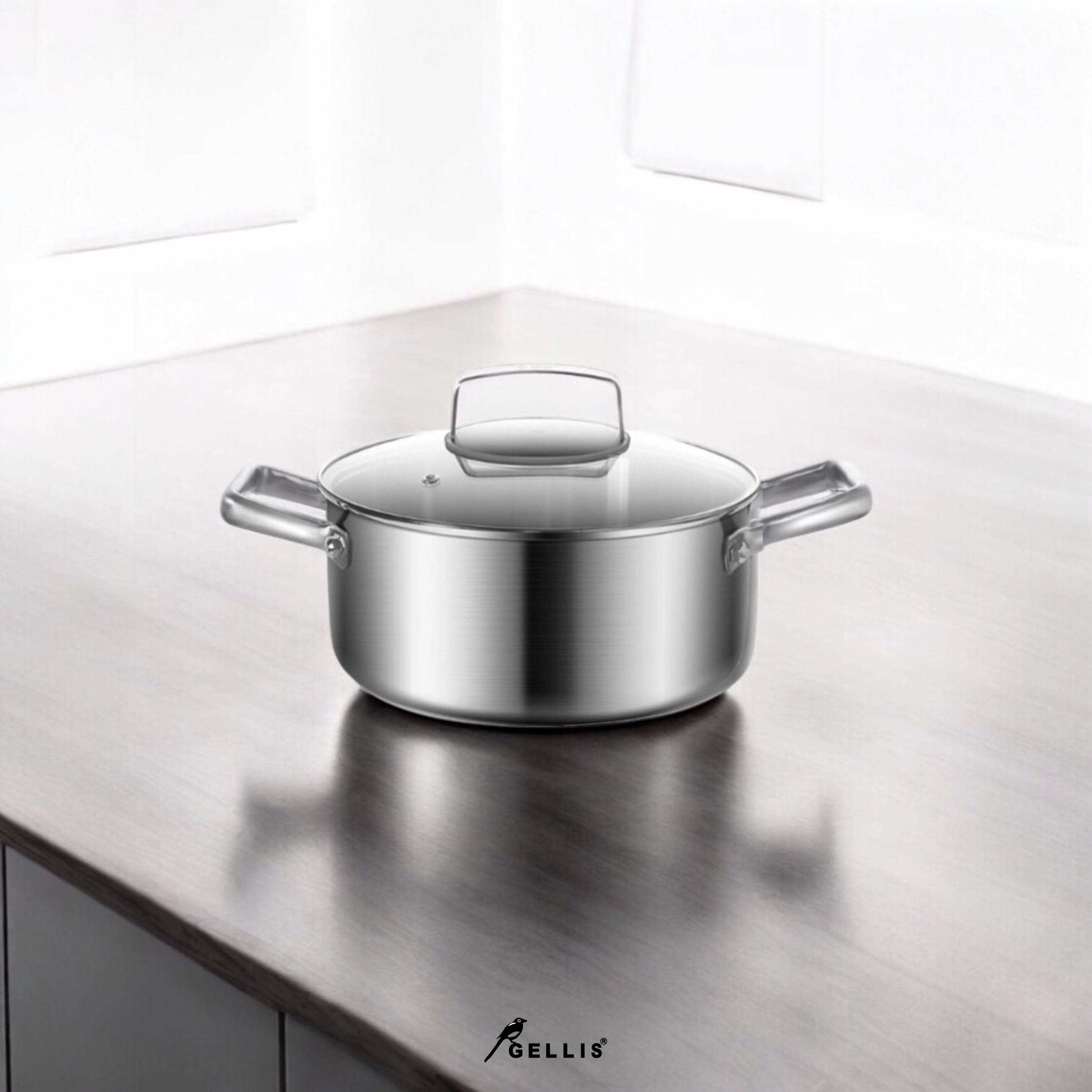 22cm Nordic系列SUS304含蓋節能一體成型厚鑄加強防溢雙耳煲湯鍋IH爐可用鍋