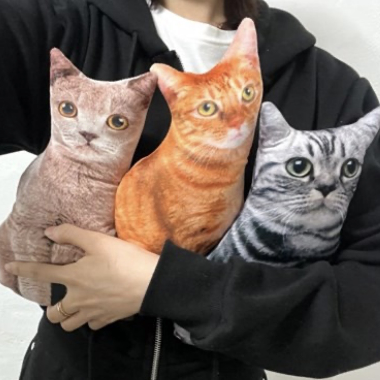 代購 真實版貓貓抱枕 搞笑 有趣 /預購