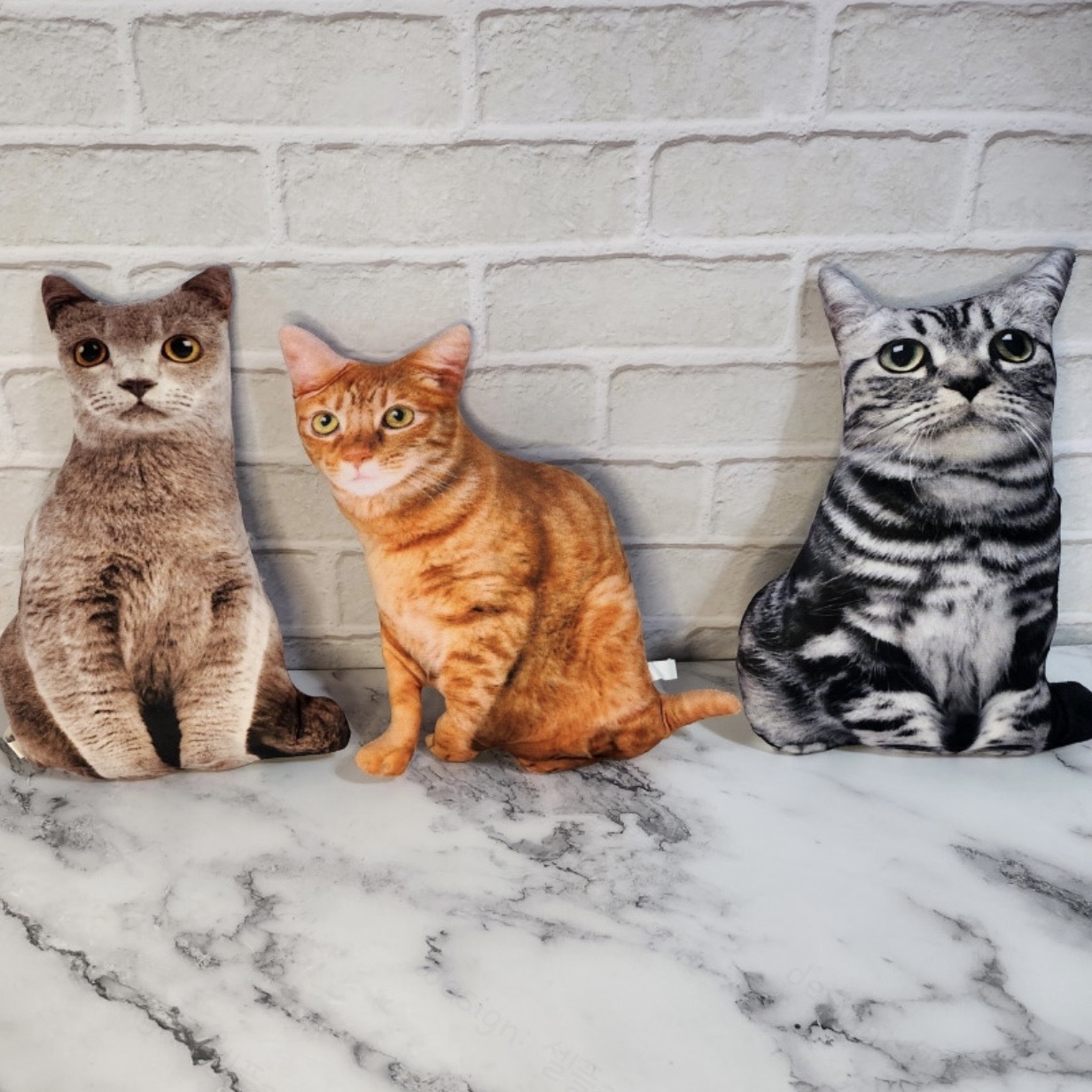 代購 真實版貓貓抱枕 搞笑 有趣 /預購