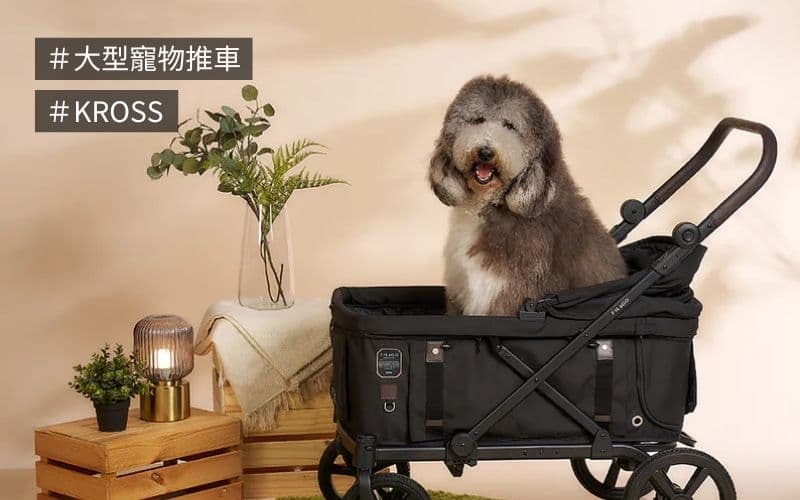 大型寵物推車
