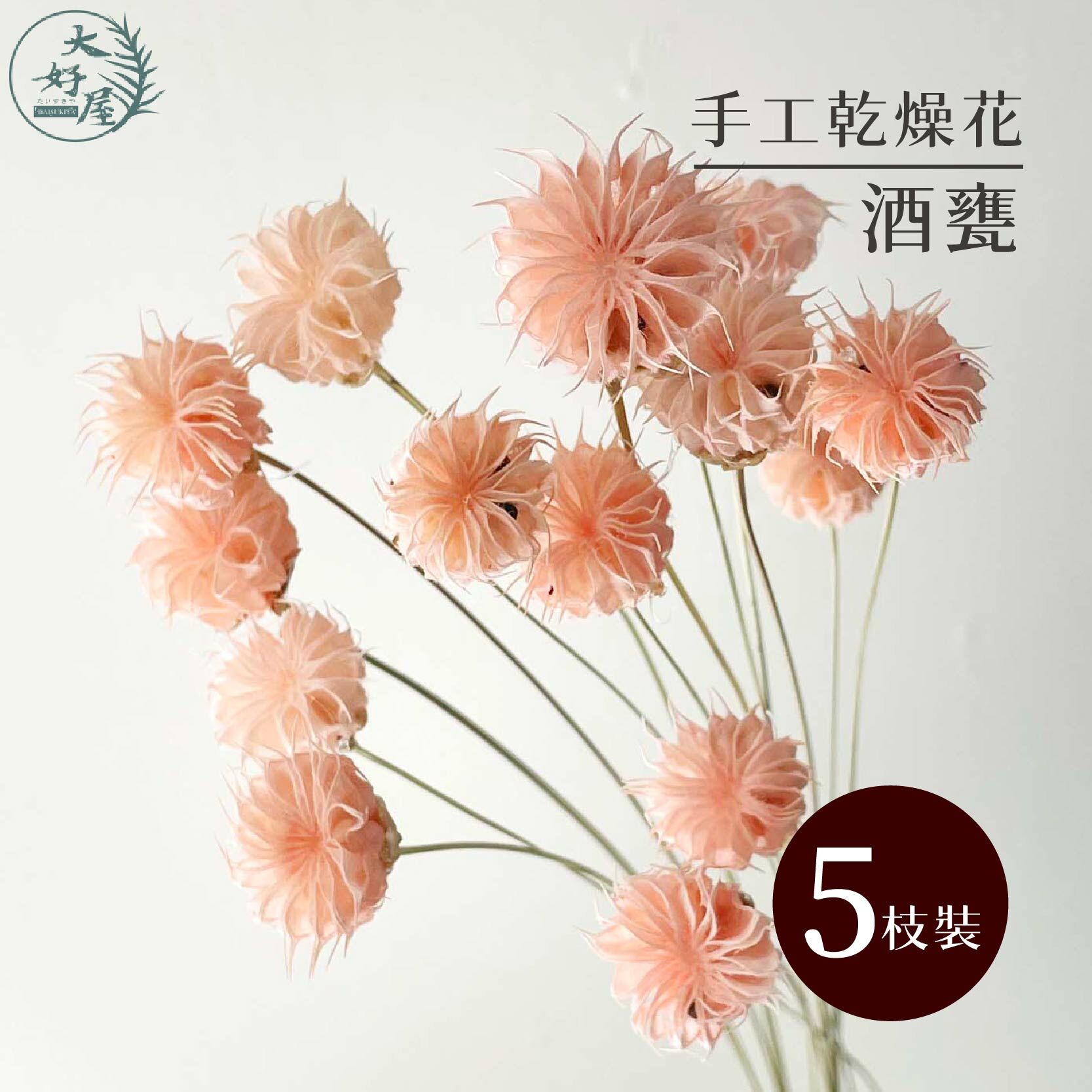 乾燥花酒甕【5支裝】