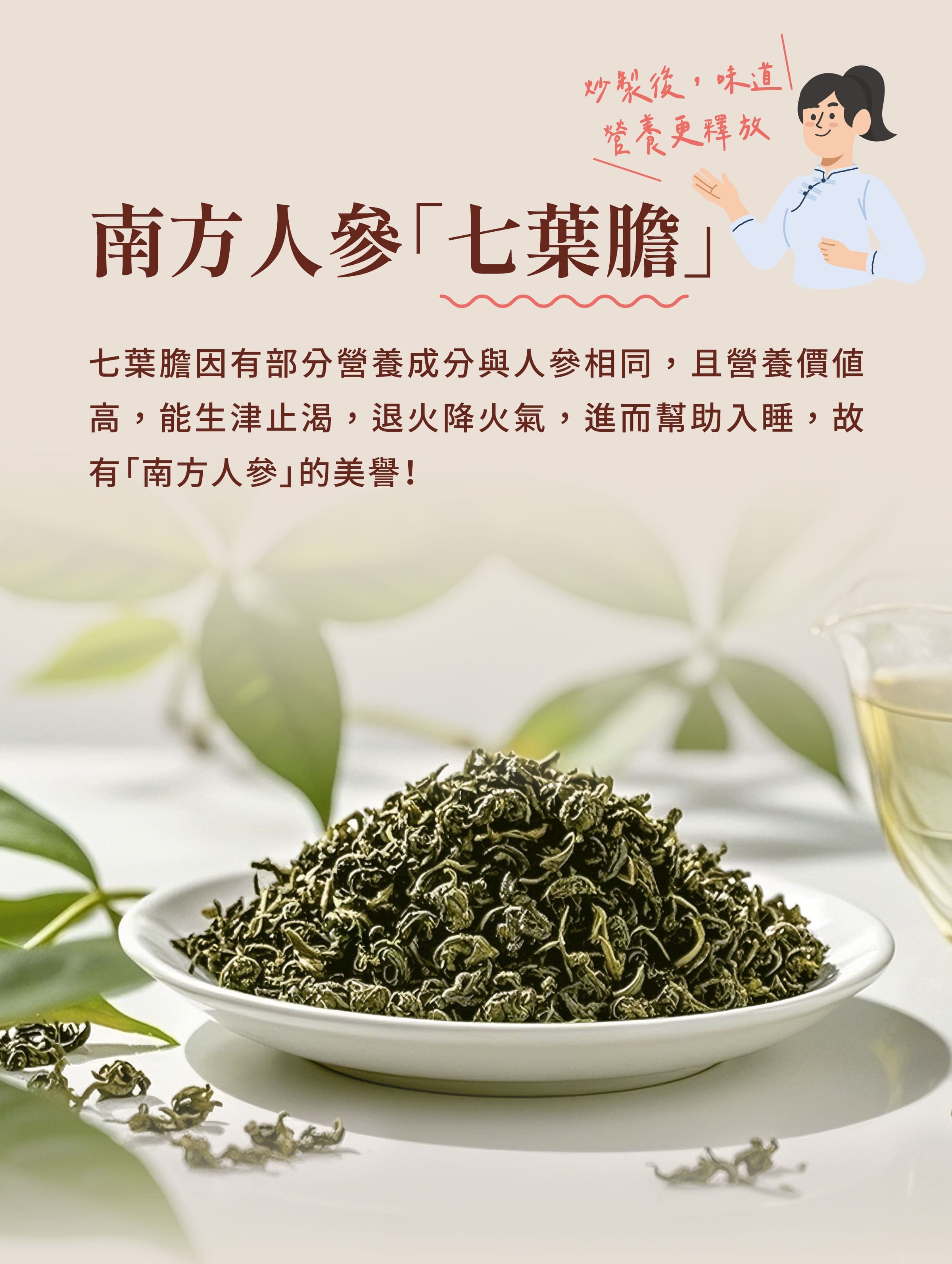 介紹靈芝七葉膽茶原料南方人參七葉膽