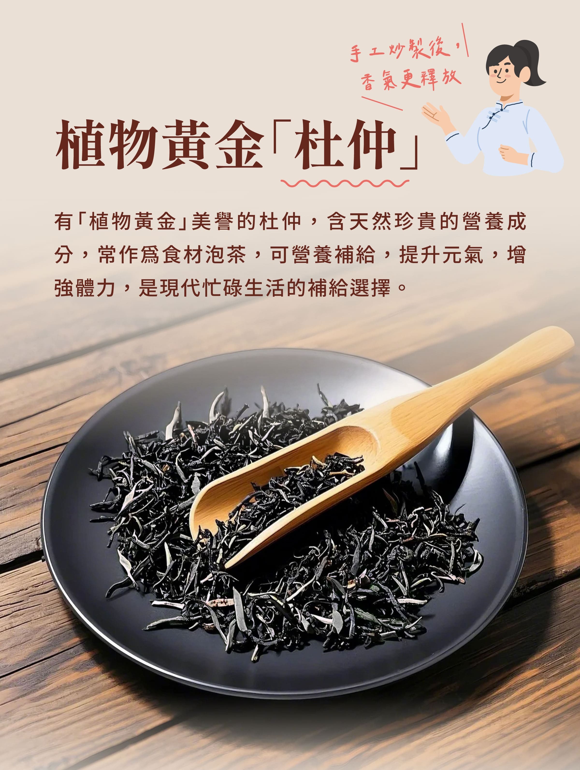 介紹杜仲茶原料植物黃金杜仲