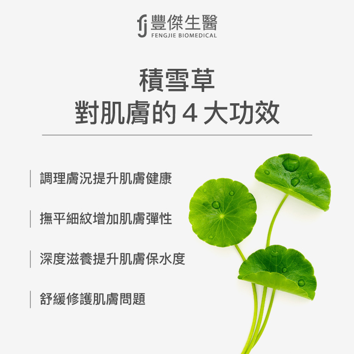 積雪草對肌膚的4大功效：調理膚況，提升肌膚健康、撫平細紋，增加肌膚彈性、深度滋養，提升肌膚保水度、舒緩修護肌膚問題