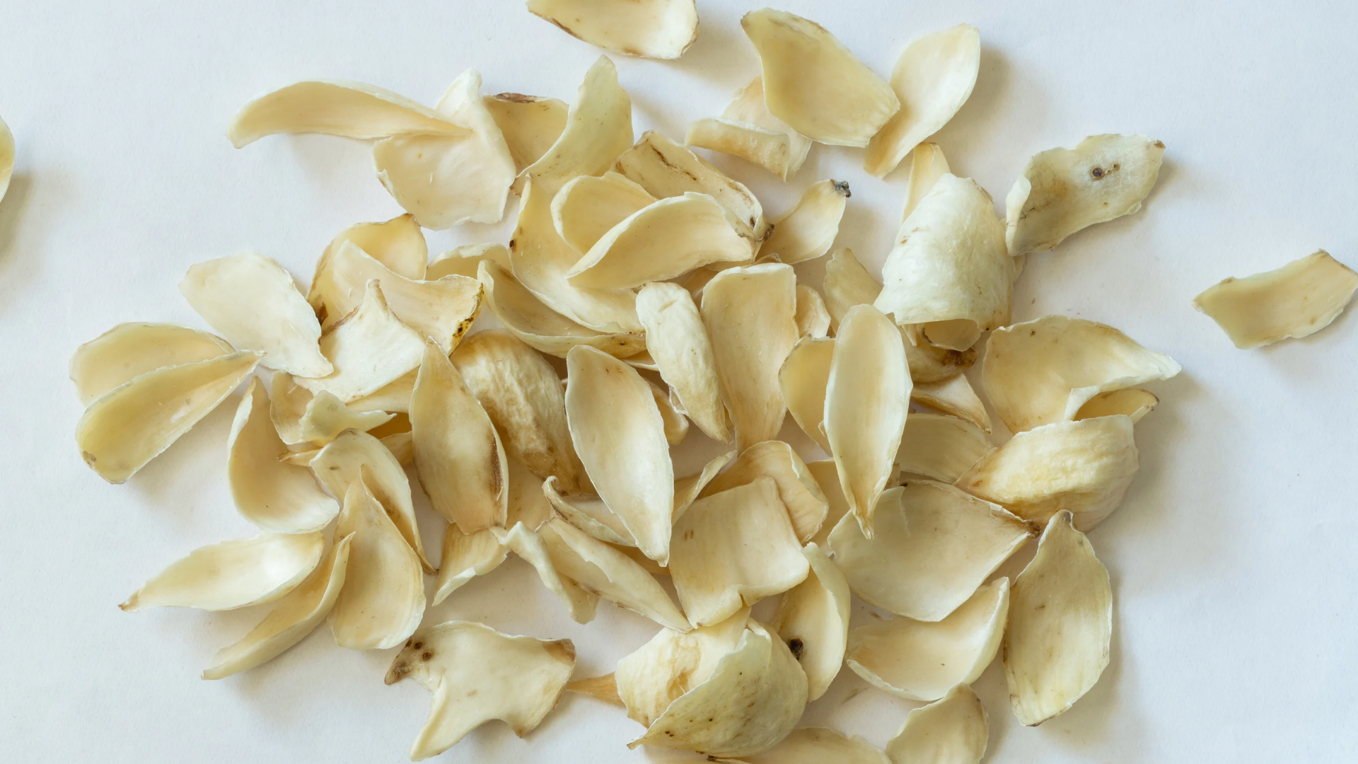 百合,中藥,養生,安神,雞湯,中藥雞湯,