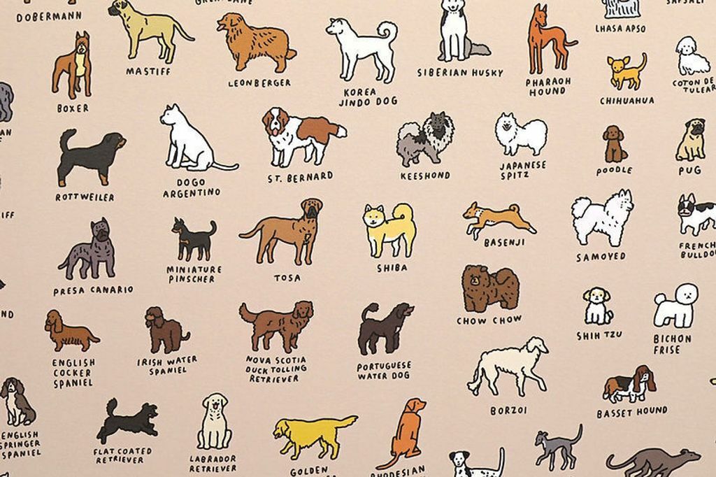 韓國Zero Per Zero｜A3海報_狗狗字典