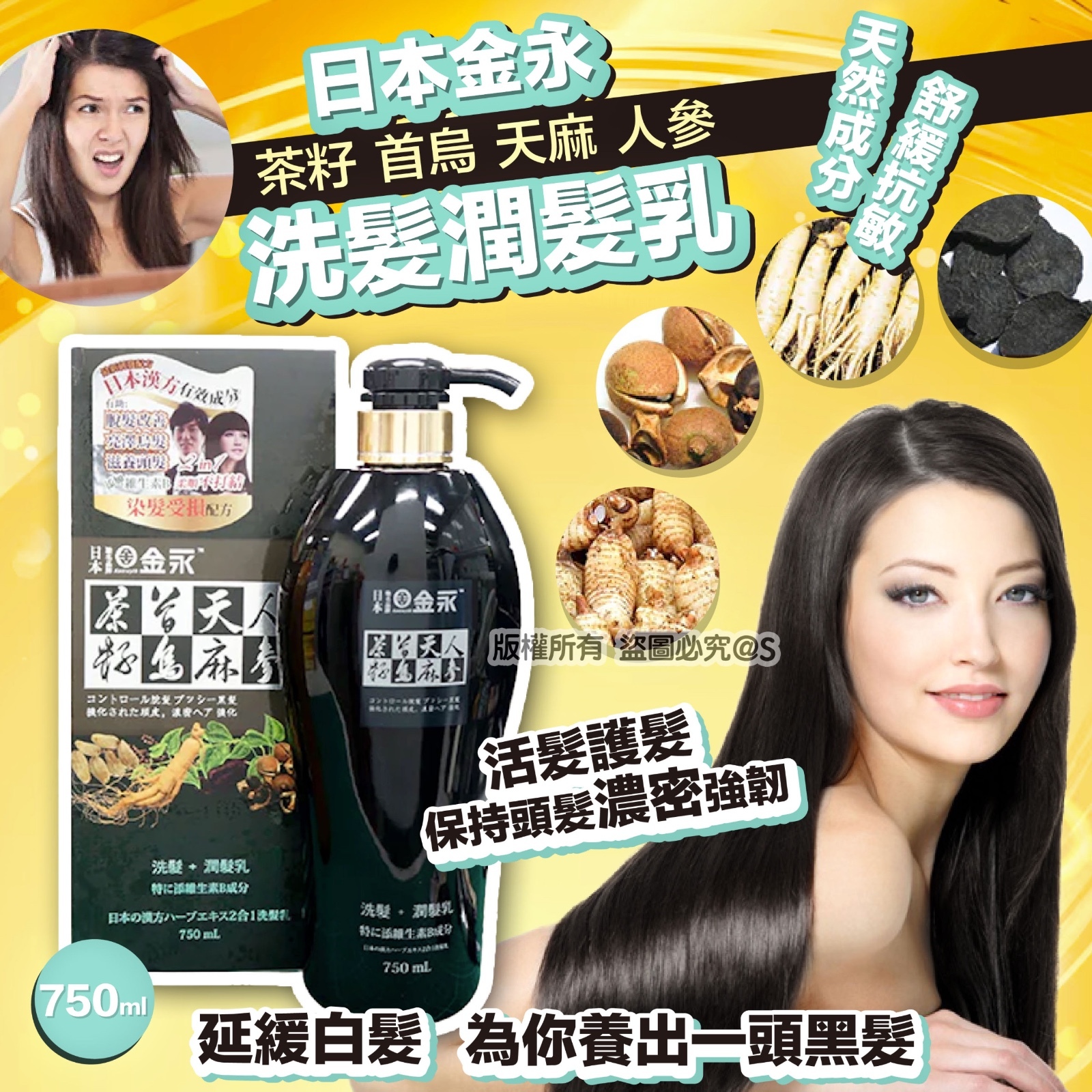 日本金永茶籽、首烏、天麻、人參洗髮潤發乳