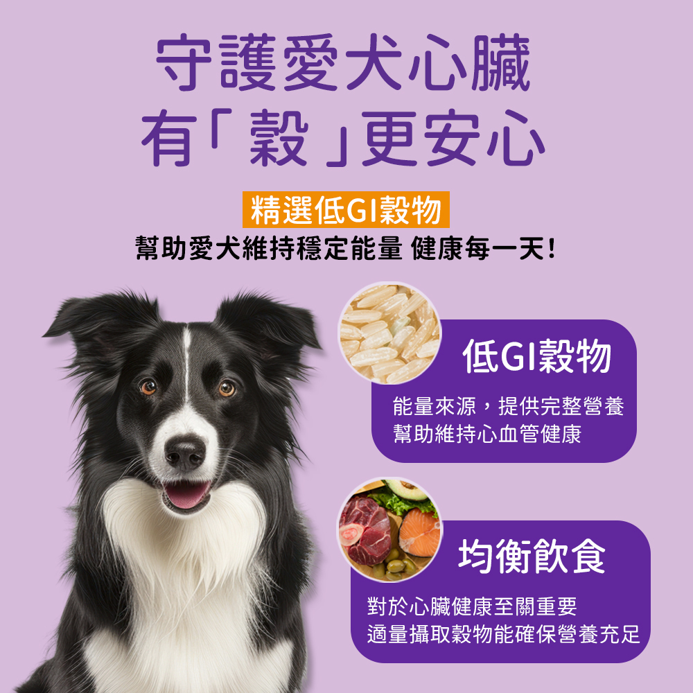 Halo 嘿囉 健康糙米 小型成犬雞肉 350克嚐鮮包