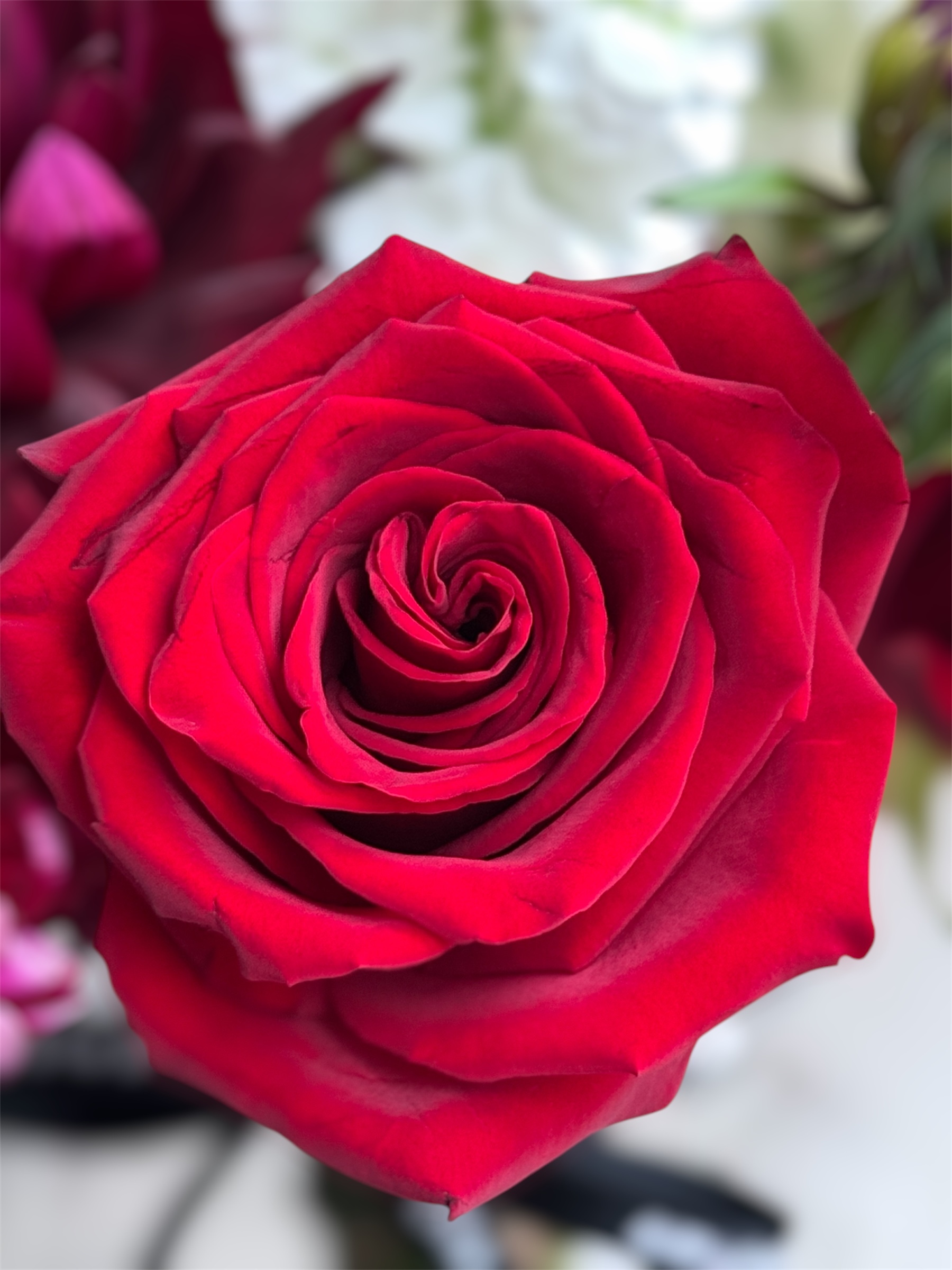 Luxurious Baccarat Redssss!