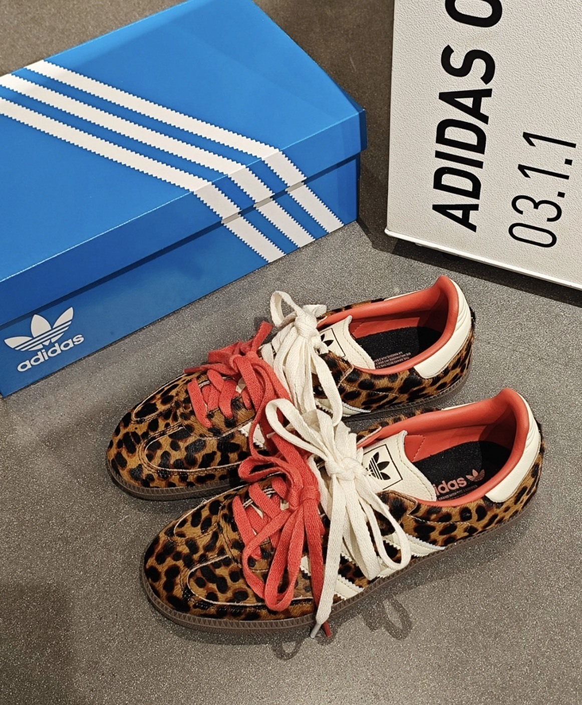 預購 Adidas Originals Samba OG 豹紋