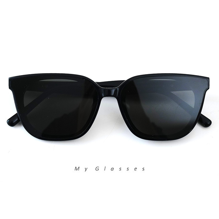 B241經典粗板材墨鏡