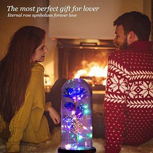 母親節禮物 【金箔玫瑰花】  音樂盒小夜燈 桌面小擺飾