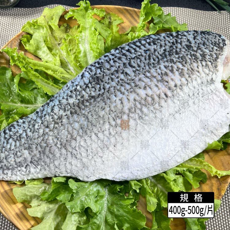 肉質細嫩無土味－台灣金目鱸魚排