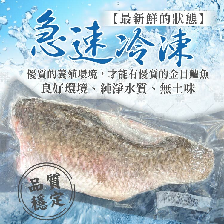 急速冷凍保持鱸魚排鮮度