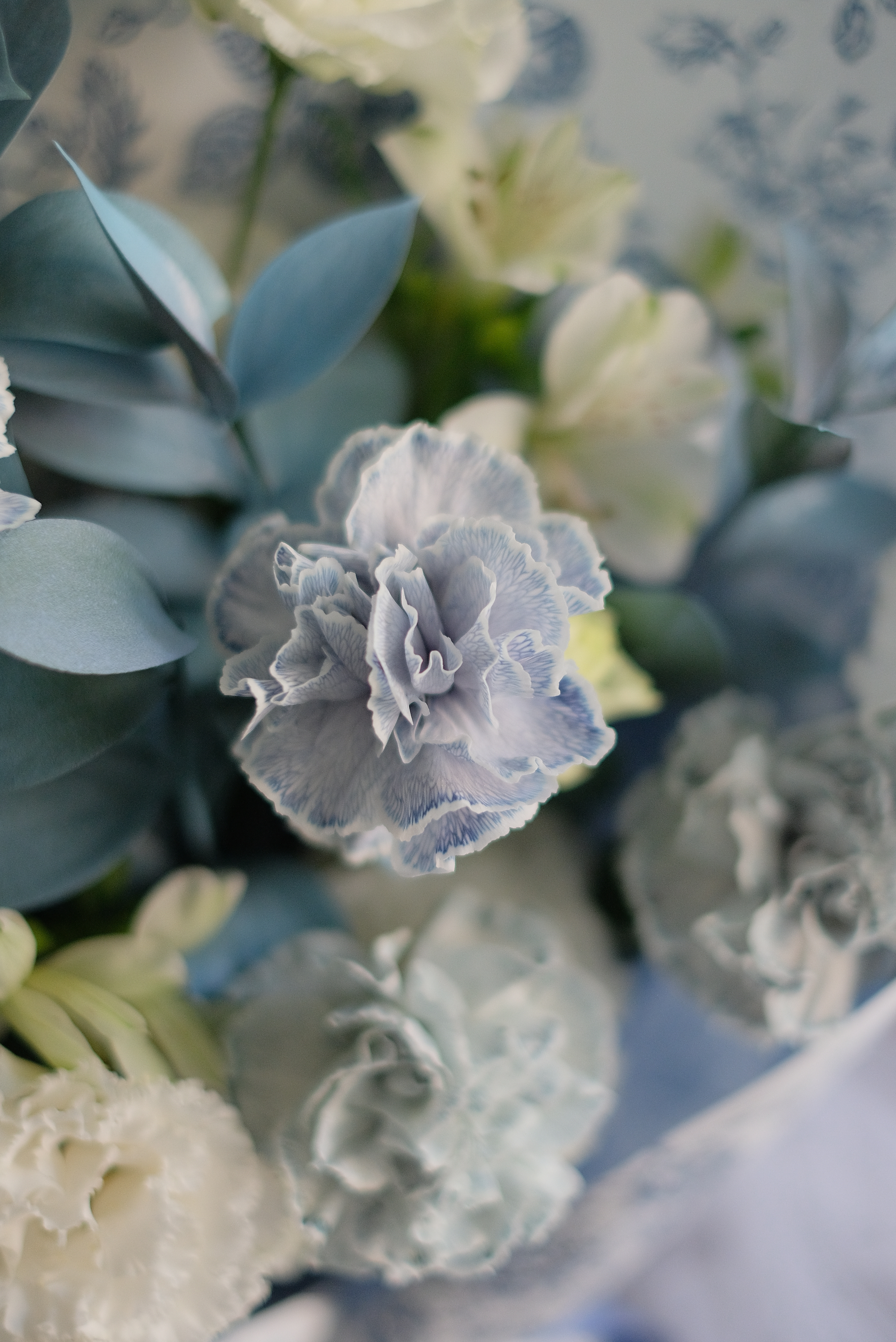 眼中晨光｜澎湃款花束