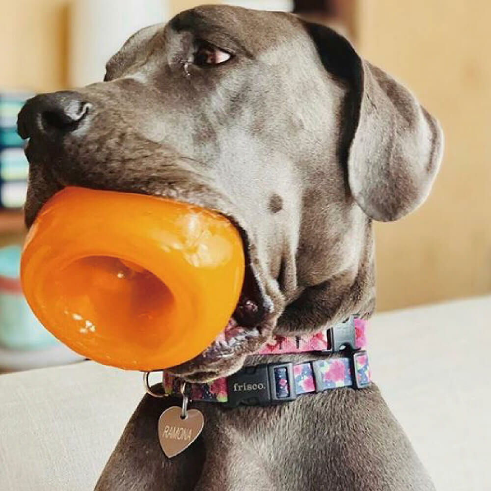 Planet Dog - Snoop 耐咬埋鼻缽L (4色)