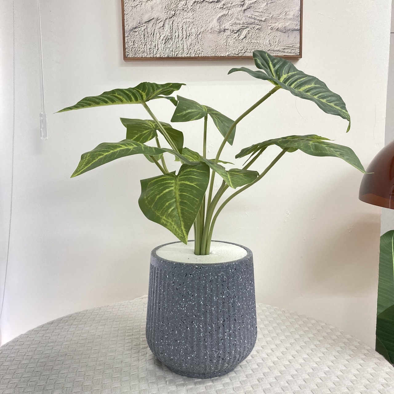 保麗龍鋪面盆器