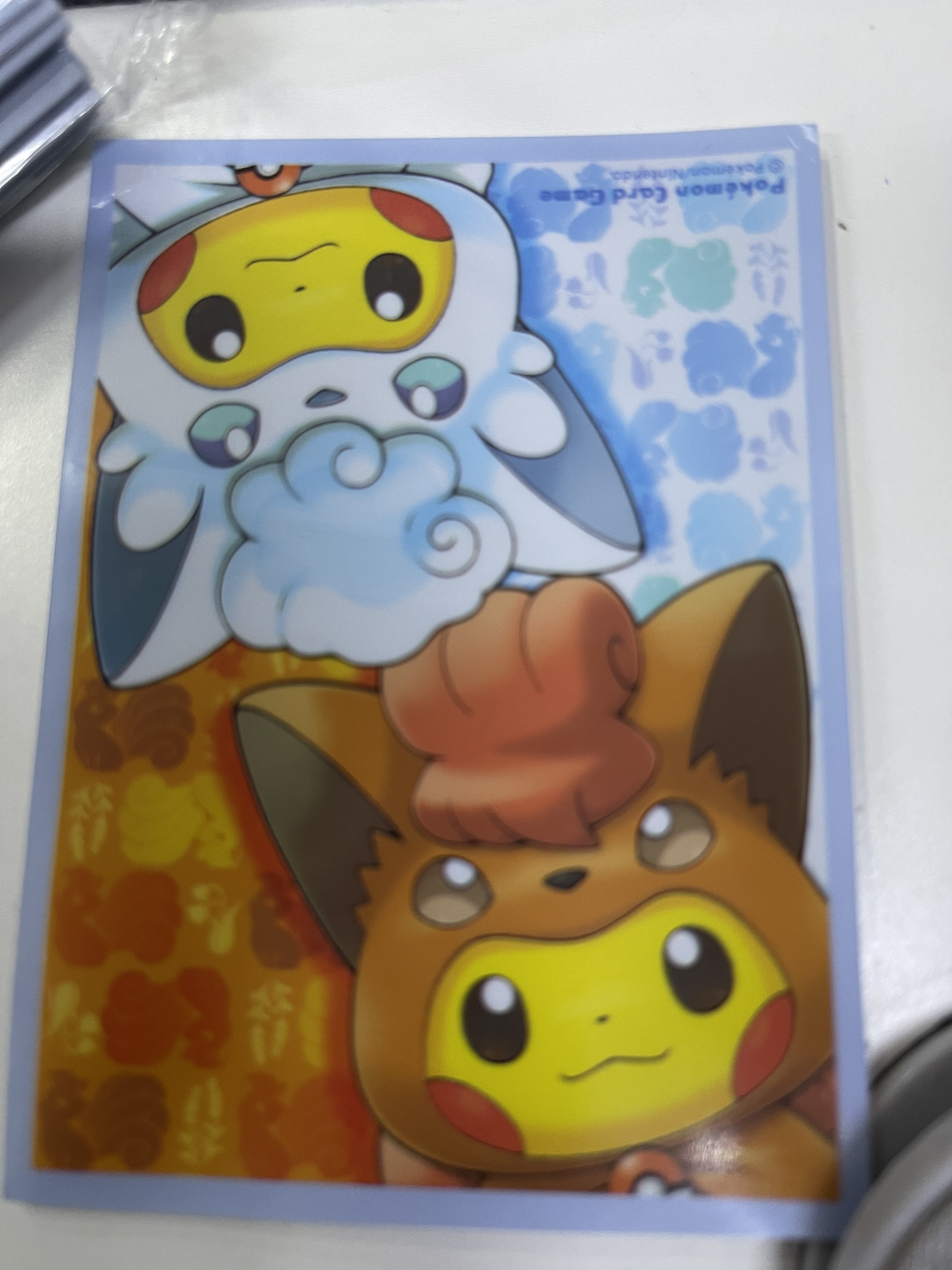 寶可夢造型卡套(60個) 4521329817252