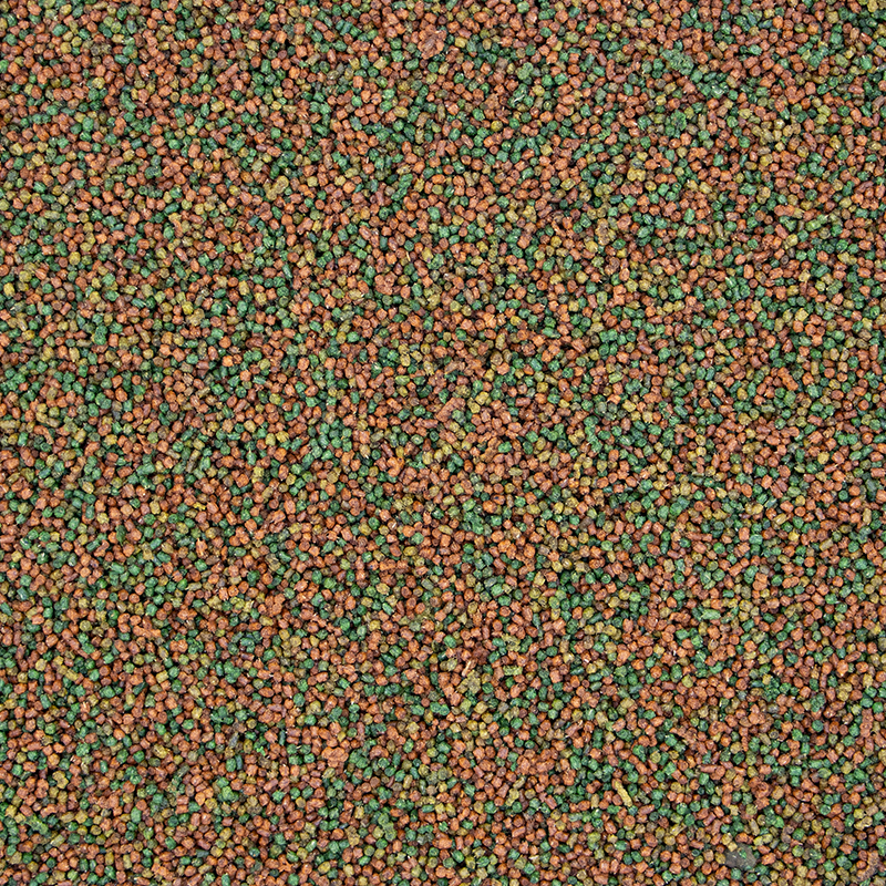 [一件包郵] Versele Laga Uni Komplet鳥糧 -1kg